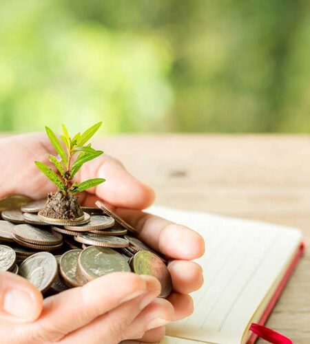 5 of the Best MMF to Invest in Kenya