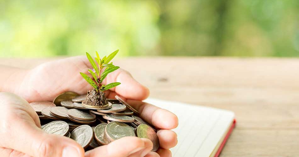 5 of the Best MMF to Invest in Kenya