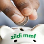 Ziidi Money Market Fund: Is It Worth It?
