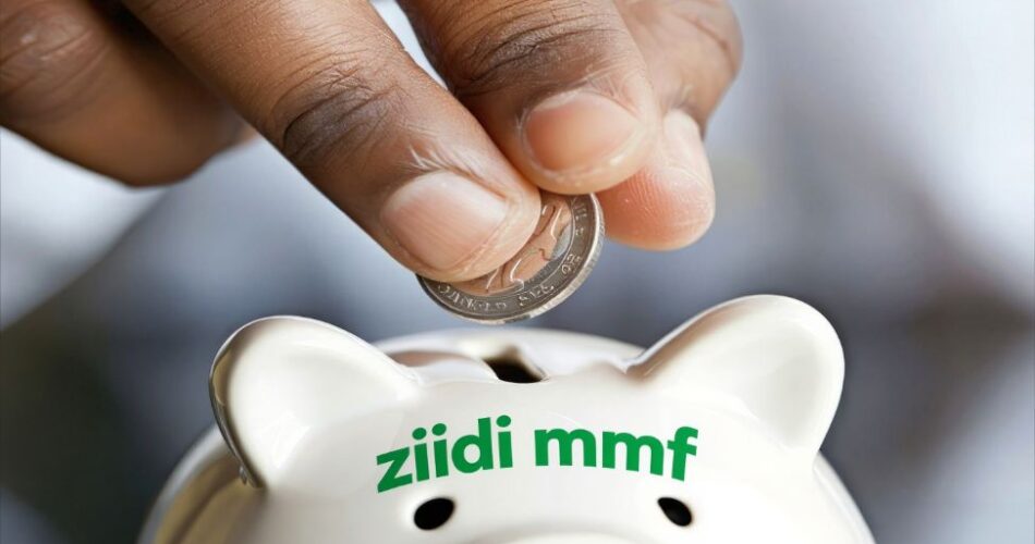 Ziidi Money Market Fund: Is It Worth It?